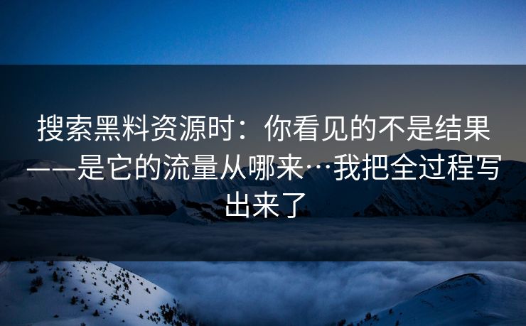 搜索黑料资源时：你看见的不是结果——是它的流量从哪来…我把全过程写出来了