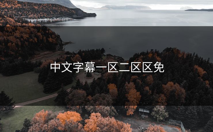 中文字幕一区二区区免