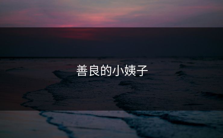 善良的小姨子